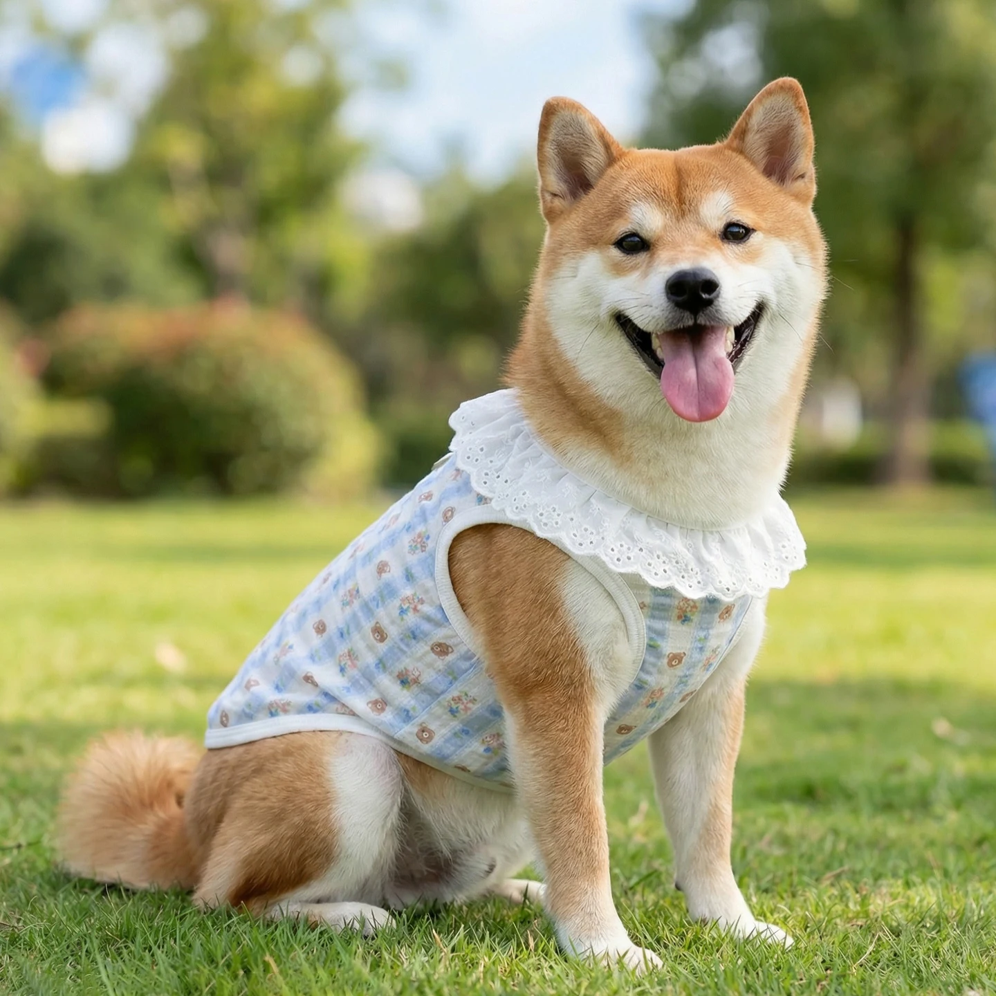 春用ペットウェア：薄手で通気性に優れた柴犬向けセットアップの実用性解析