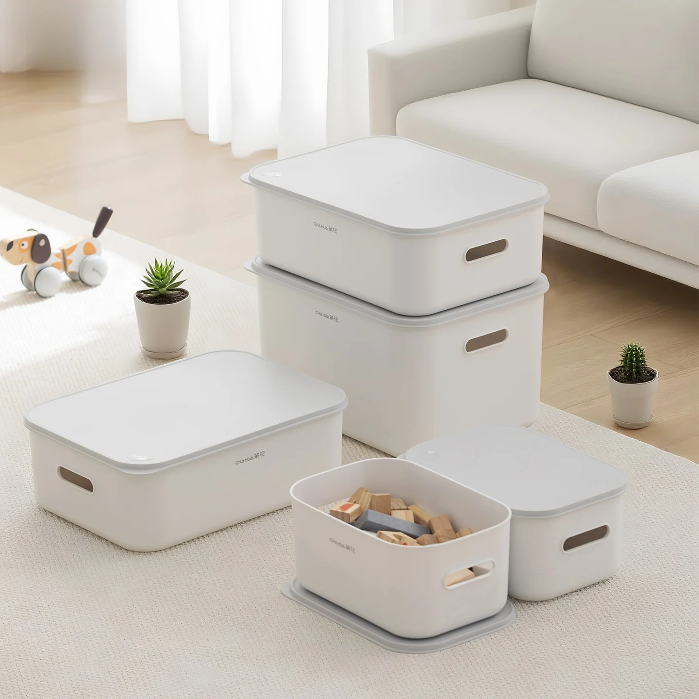 100均キャニスターとは何か：茶花150011の仕様と実用性を徹底解説