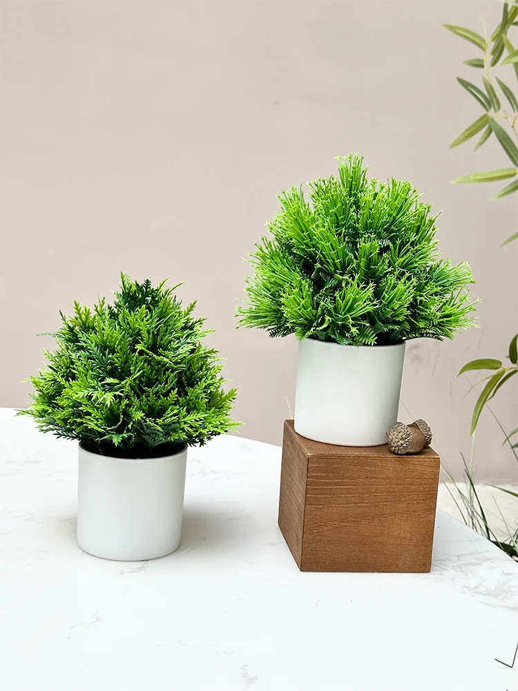 韓国インテリアを再現｜カフェ風部屋の作り方　模擬緑の植物選びの完全ガイド