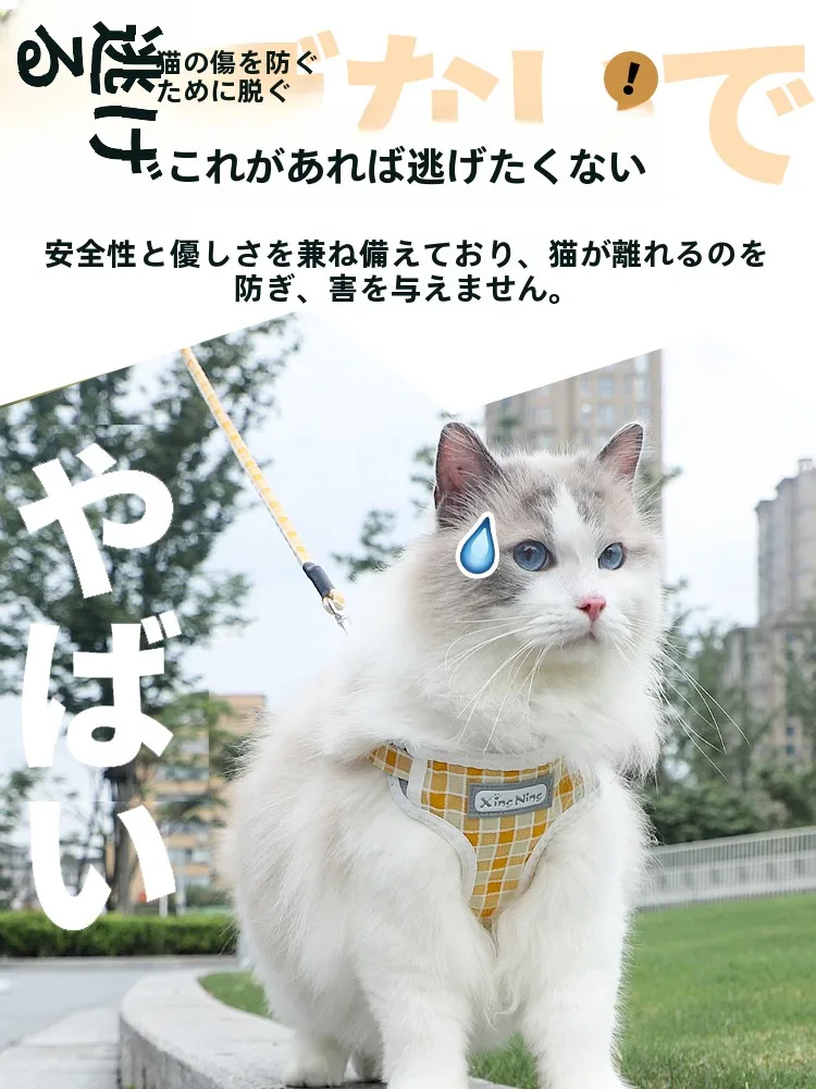 猫飼いが買ってよかったもの・悪かったもの正直に言う｜夏用ハーネスリードの実際の使い心地徹底解説