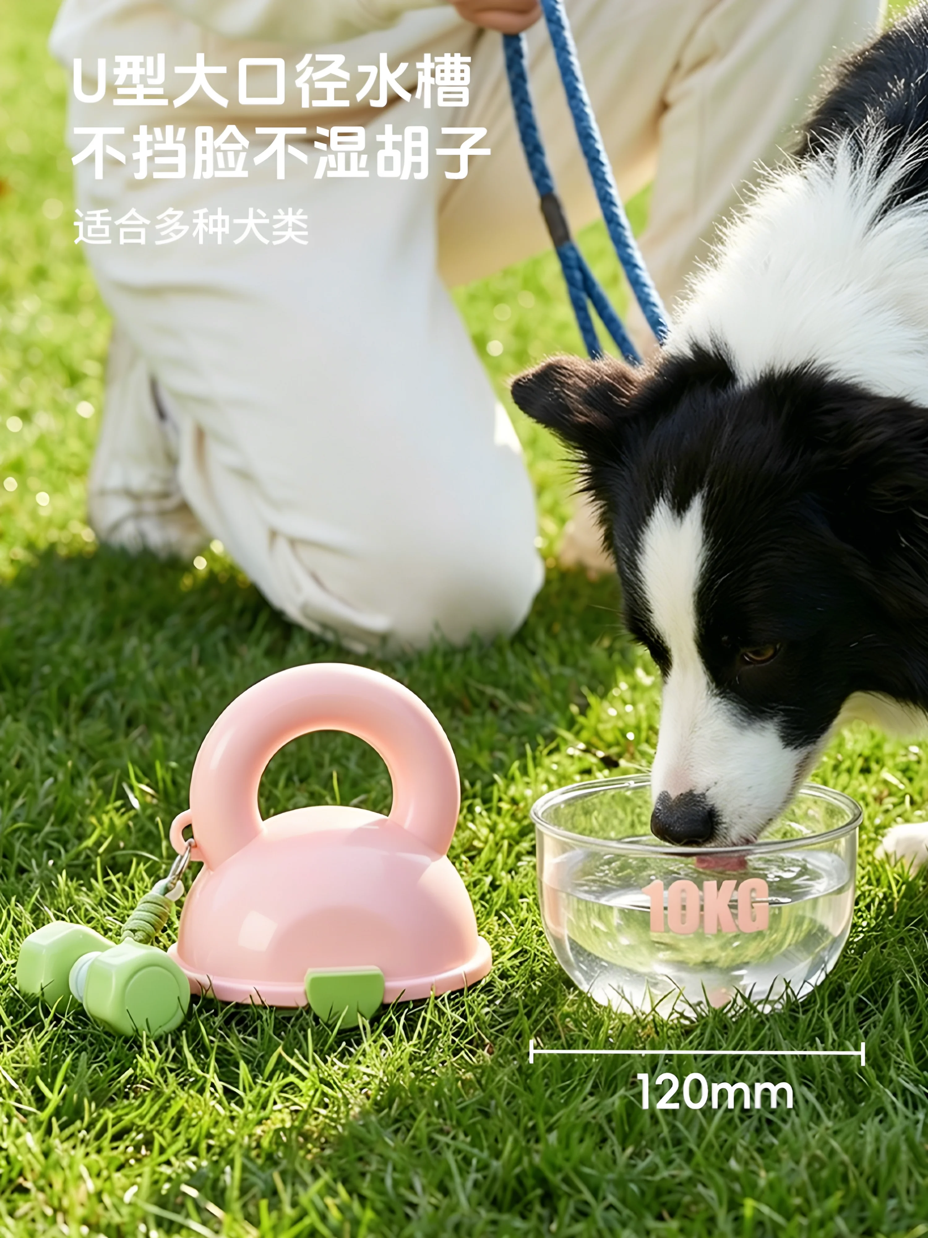 犬とキャンプで水を飲ませるのに悩むなら、この「二合一水筒」が救いになる？