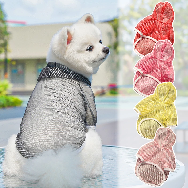 犬用メッシュシャツ：夏用通気性と日焼け防止の実用性を検証