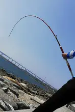 深海用超硬船釣り竿【実心材質・電動リール対応】