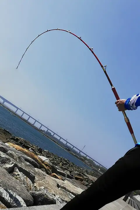深海用超硬船釣り竿【実心材質・電動リール対応】