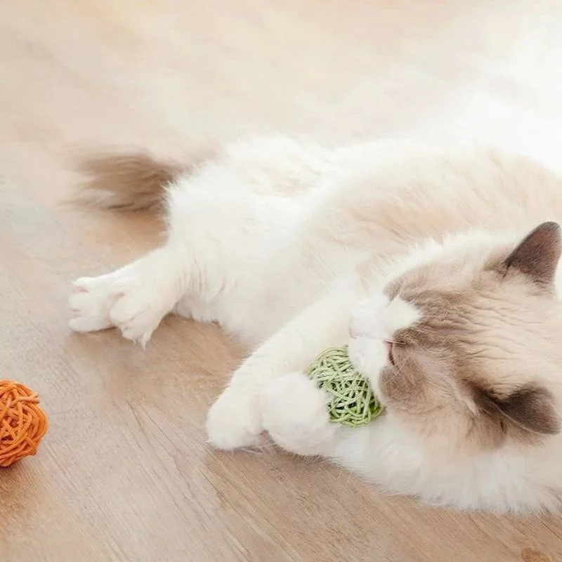 手編みの三色 ボール付き猫のおもちゃ：音が出るベル・噛む用の藤木製遊び道具