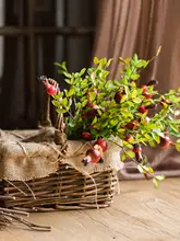 ザクロの実 装飾 花芸 生け花 道具