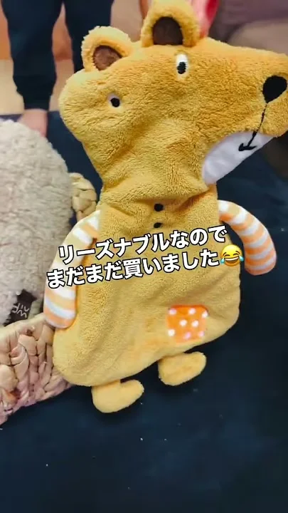 小さい子どもが居ながら観葉植物なんて置けない。。