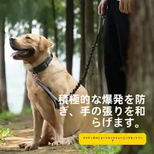 犬用短型トレーニングリード【二重リング・グリップ付き】