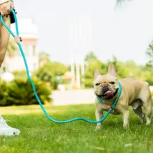 反射素材のナイロン製リード【小型犬・中型犬・大型犬対応・極細】