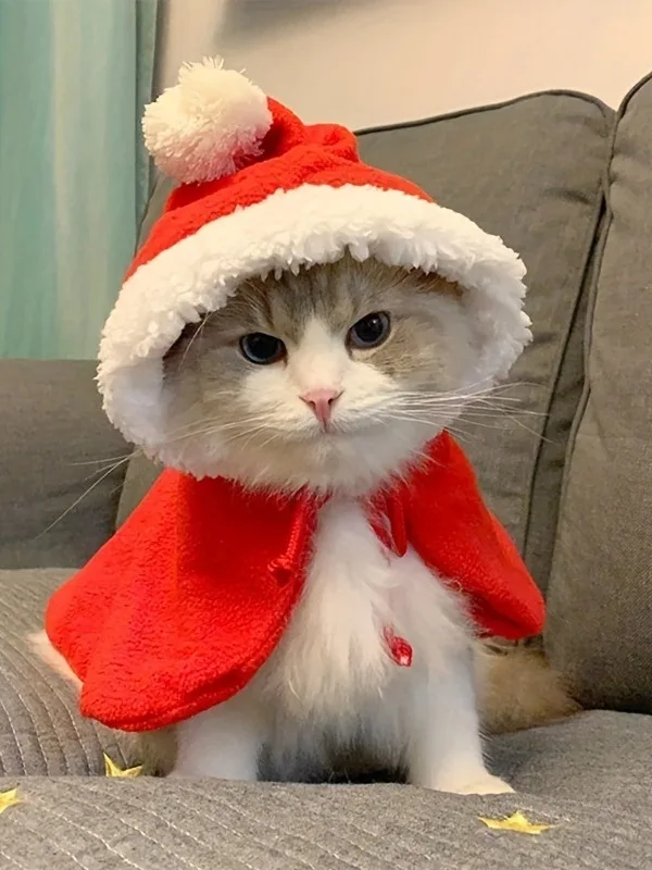 ペットのクリスマス服、猫と犬に共通の新年のマント