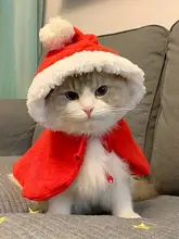 ペットのクリスマス服、猫と犬に共通の新年のマント
