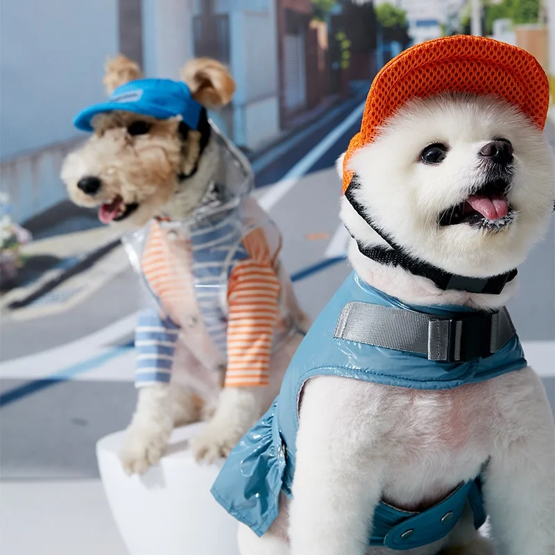 犬のお散歩グッズをコスパ良く揃える方法：LazyEazy ペット用帽子【耳出しデザイン・小型犬用・日除けキャップ】
