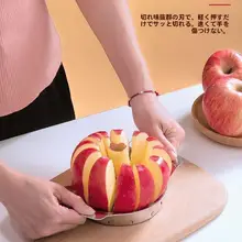 ステンレス製リンゴカッター【多機能・皮むき・種取り】
（セットアップ対応）