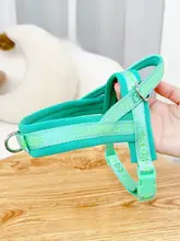犬用 胸部ハーネスリード【防脱出・コーギー・ウエストハイランド・子犬対応】