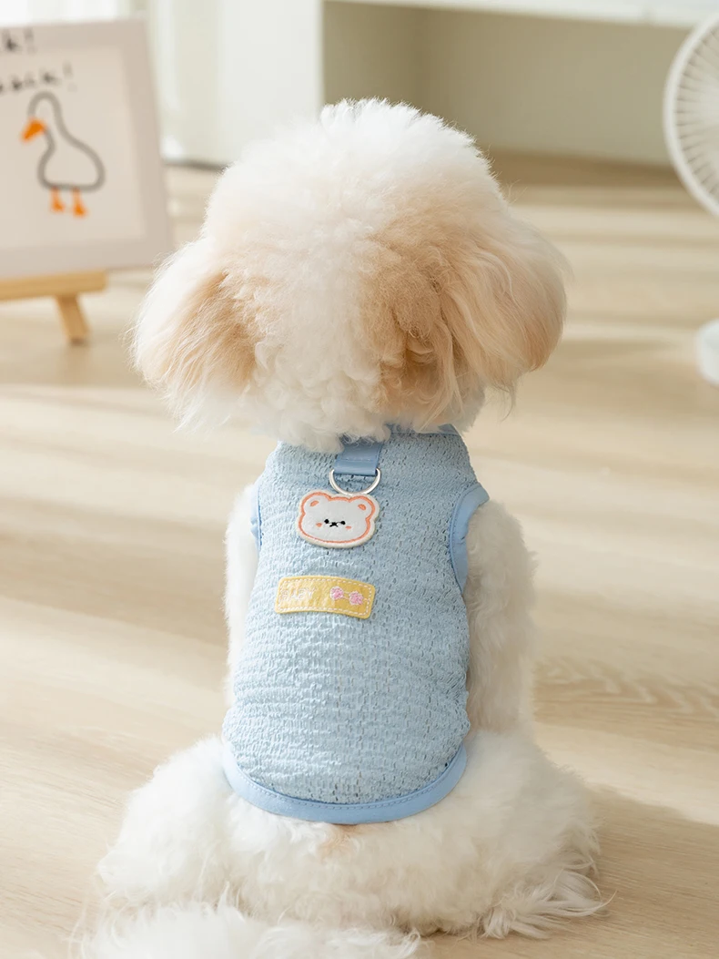 犬のお散歩グッズをコスパ良く揃える方法 | リード付きベストのサイズと機能の選定基準