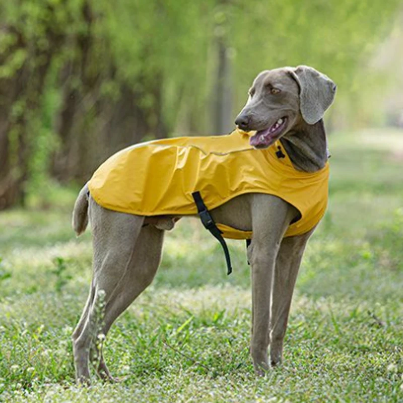 犬のお散歩グッズをコスパ良く揃える方法｜中大型犬向けフード付きレインコートの実測ガイド