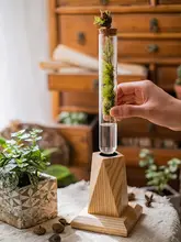 無垢材 ガラス トロフィー 試験管 花瓶 花挿し 創造的 デスク 高級 ドライフラワー 水耕 植物 花器 装飾品