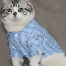 可愛いストライプのペットシャツ【コーギーやマルチーズに最適・春用・お出かけ用】（セットアップ対応）