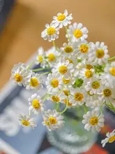 花飾り 小さなデイジー リビング用装飾 グリーン植物 偽造花 美しい形状