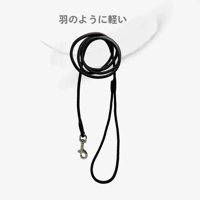 犬のお散歩グッズをコスパ良く揃える方法：長めのステンレスロングリードの実用性と選定基準