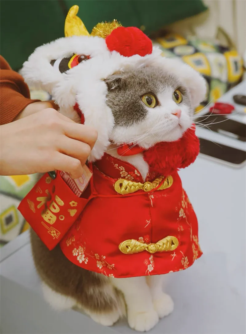 猫の唐装コスチューム：お正月に使える福のテーマでペットを楽しく装飾