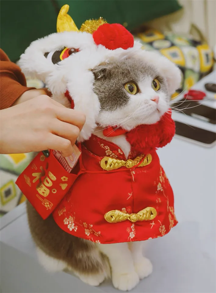 猫の唐装コスチューム【お正月・ペット用・福のお祝い風】