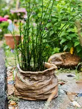 鉢 花かご 花器 多肉植物 用途 水泥 麻布 レトロ 陶器 北欧