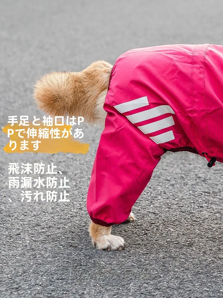 犬のお散歩グッズをコスパ良く揃える方法｜実測でわかるフィット性とデザインのバランス