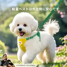 hipidog 小型犬用ハーネスリード【テディ・ポメラニアン・チワワ対応・胸あて付き】