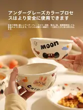 高級感のある陶器製分仕切りプレート【美しいデザイン・サラダボウル・面ボウル・炒め物皿・スープボウル】