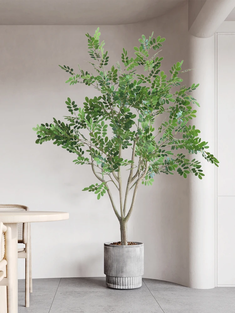 観葉植物のプレゼントで失敗しない「おしゃれ」な選び方は？