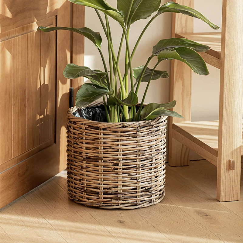 ほうれん草 プランターとポスト 観葉植物、どちらが暮らしにふさわしいの？