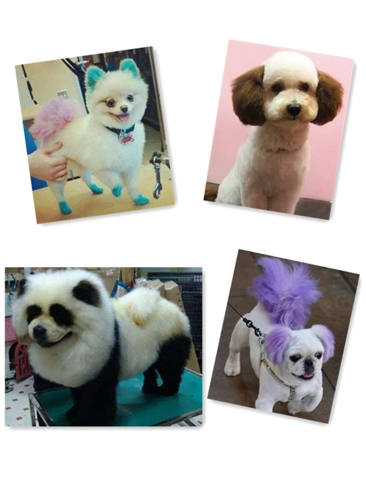 犬用カラートリートメント：毛色染めと美容ケアを一括で実現