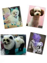 犬用カラートリートメント【ペット用・毛色染め・美容ケア】
