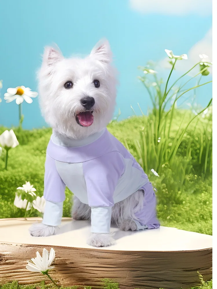 犬のお散歩グッズをコスパ良く揃える方法　徹底解説・選び方の3つのポイント