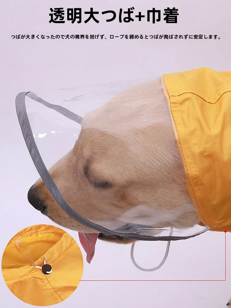 犬のお散歩グッズをコスパ良く揃える方法｜防水レインコートの選び方と実際の使い方