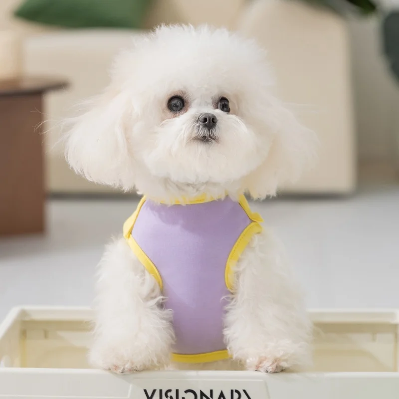 キャンプで犬が笑顔になるための、1着のTシャツは？