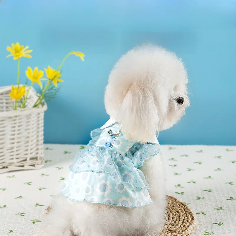 犬の散歩服装で夏をどう過ごす？レースフリルワンピースがもたらす、まるでセレブのようなひととき
