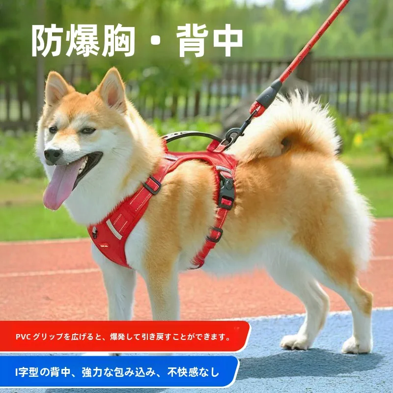 中型犬用胸背負いハーネス：VOA製の爆発防止モデルが実際の散歩シーンでどう活用されるか