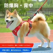 ペット用 胸背負いハーネス【中型犬・コーギー・テディ・幼犬用・爆発防止】