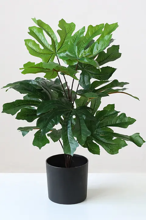 フェイク植物 小さな鉢植え 装飾オブジェ 円形 室内に適した 緑色