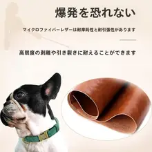 VON 犬用首輪【小型犬・中型犬・大型犬対応・リード付き・迷子札付き】