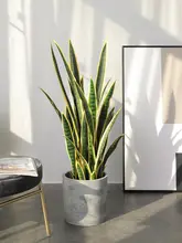 リアルなトラノオの人工観葉植物【インテリア装飾・オフィス用・リビング用】