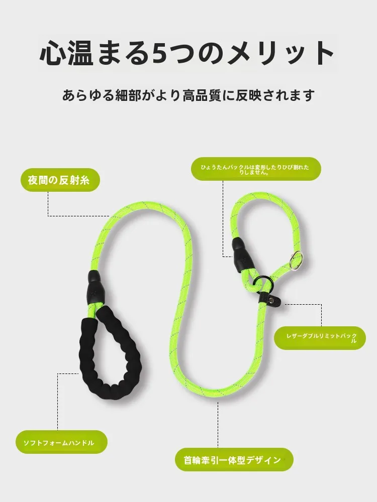 犬のお散歩グッズをコスパ良く揃える方法 - 防爆素材のリードと反射ストリップの技術的背景
