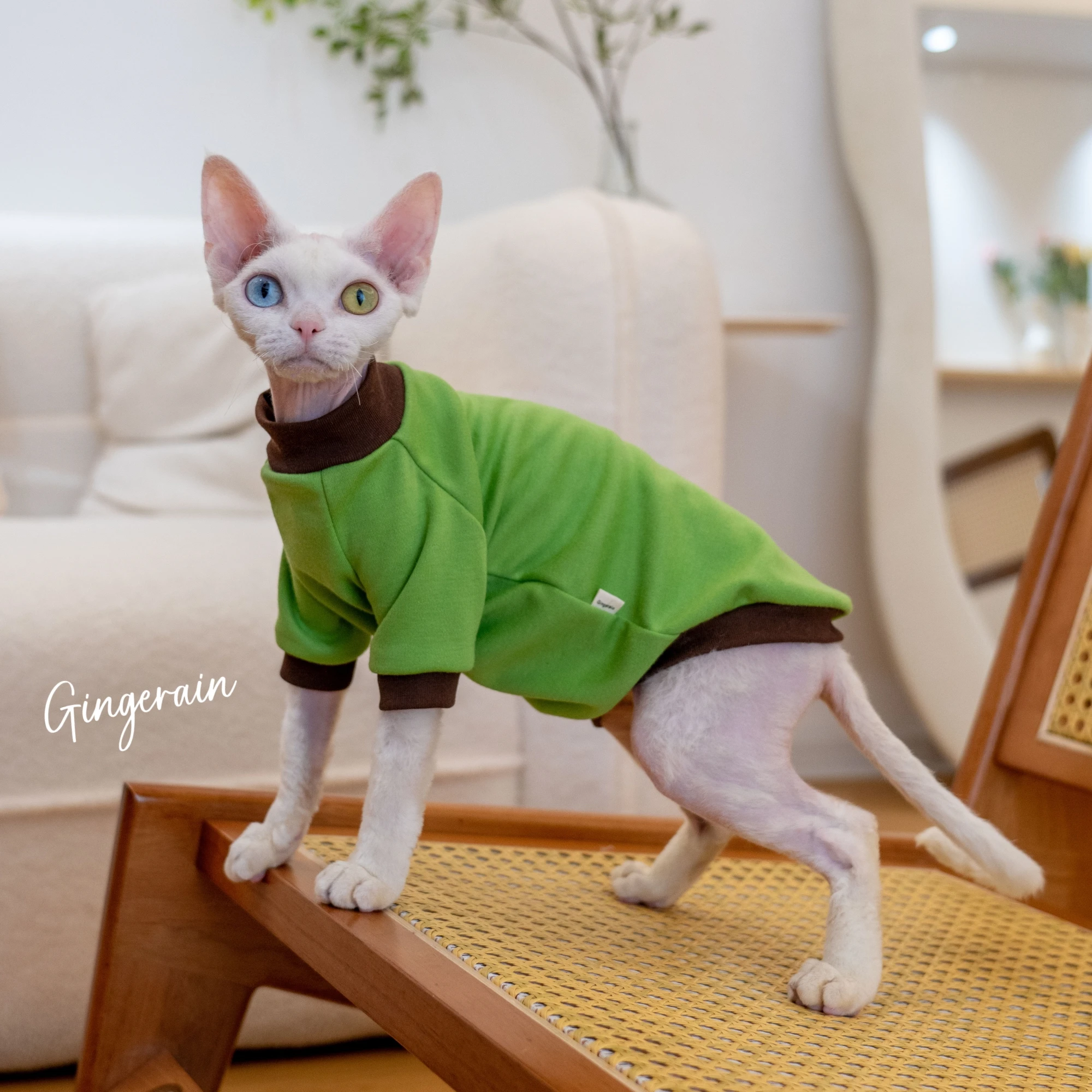 GINGERAIN コットン製デヴォンレックス猫用Tシャツ：一人暮らしに最適な夏用保温着用法とサイズガイド