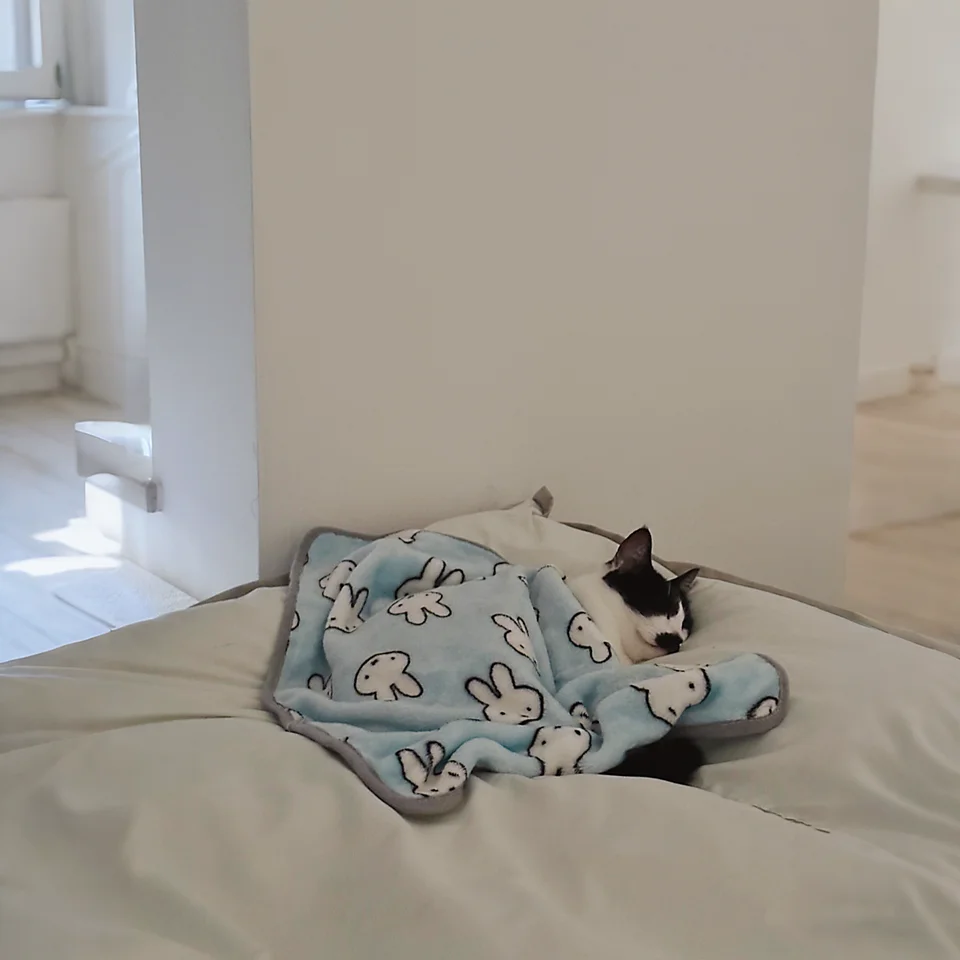猫デザインのコーラルフリース毛布【冬用・厚手・ペット用】