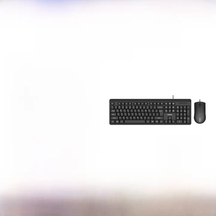 Lenovo オフィス向け有線キーボード＆マウスセット【デスクトップパソコン対応・ビジネス用】