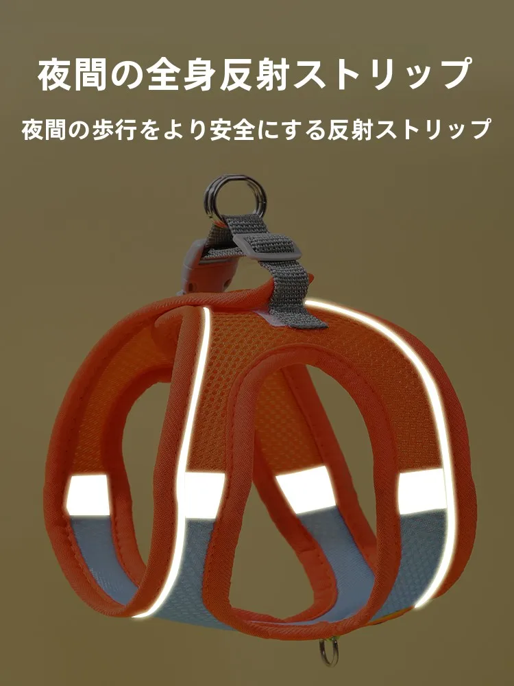 小型犬用リード：胸部ハーネスで安定したお散歩を実現