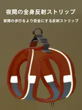 小型犬用リード【抜群の安定性・胸部ハーネス・お散歩に最適】