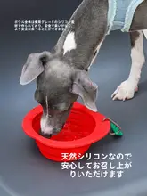 zeze シリコン折りたたみペットボウル【首を守るデザイン・防倒設計・猫用・犬用】